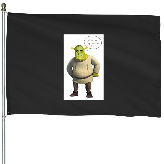 Long nip shrek  2: Shrek Same Swamp Forever , Shrek Shirt, Disney Fiona Princess , Shrek,Shrek House Flags