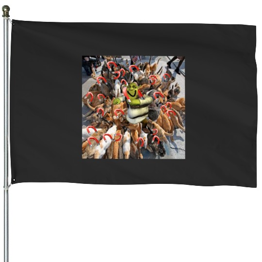 Shrek attracting cats with magnets  : Shrek Same Swamp Forever , Shrek Shirt, Disney Fiona Princess , Shrek,Shrek House Flags