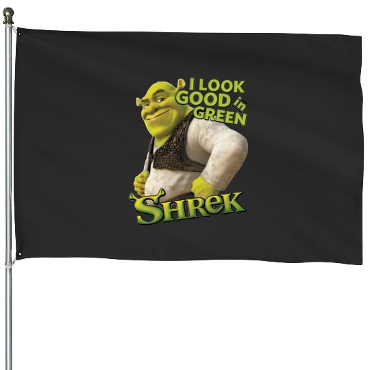 I Look Good In Green Shrek  : Shrek Same Swamp Forever , Shrek Shirt, Disney Fiona Princess , Shrek,Shrek House Flags