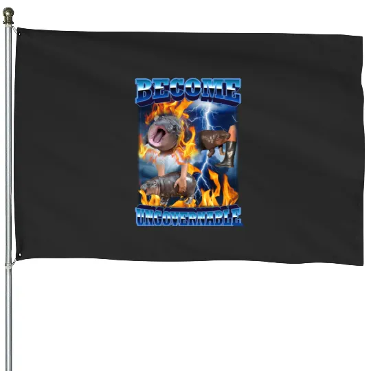 Become Ungovernable Funny Ba: Shrek Same Swamp Forever , Shrek Shirt, Disney Fiona Princess , Shrek,Shrek House Flags