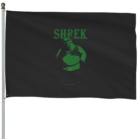 Shrek Green Hue Smiling Portrait  1: Shrek Same Swamp Forever , Shrek Shirt, Disney Fiona Princess , Shrek,Shrek House Flags