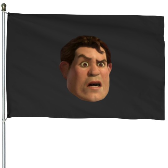 Handsome Human Shrek  : Shrek Same Swamp Forever , Shrek Shirt, Disney Fiona Princess , Shrek,Shrek House Flags