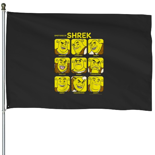 Discover Shrek Emotions Of Shrek Box Up  2: Shrek Same Swamp Forever , Shrek Shirt, Disney Fiona Princess , Shrek,Shrek House Flags