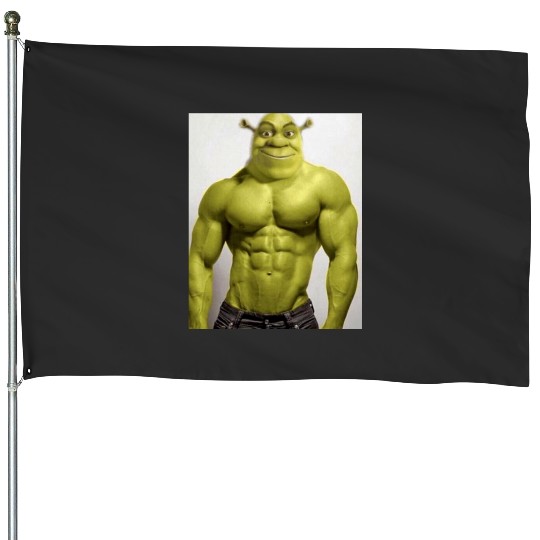 Sexy shrek  3: Shrek Same Swamp Forever , Shrek Shirt, Disney Fiona Princess , Shrek,Shrek House Flags