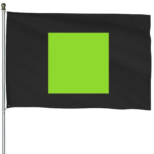 Sublime lime  : Shrek Same Swamp Forever , Shrek Shirt, Disney Fiona Princess , Shrek,Shrek House Flags