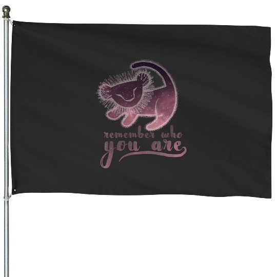 Disney Lion King Simba Remember Painting Hoodie House Flags