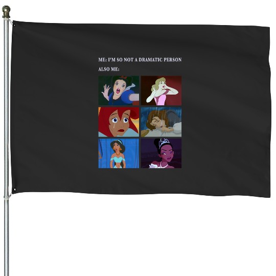 Disney Princess Not Dramatic Meme Panel House Flags