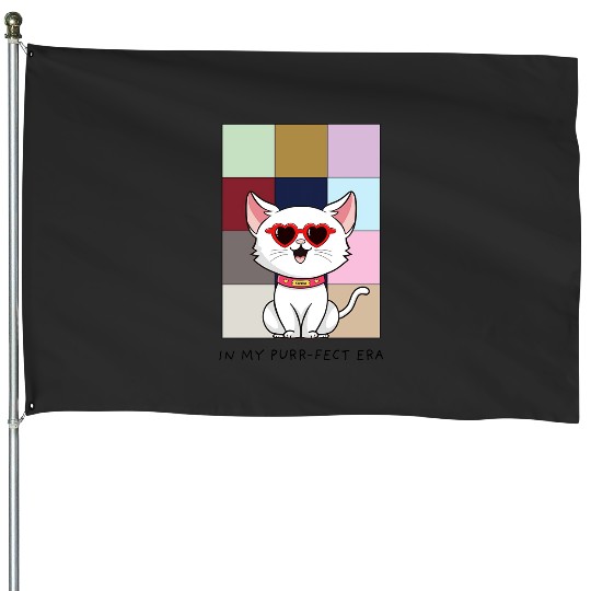 Discover Taylor Eras Tour TShirt House Flags