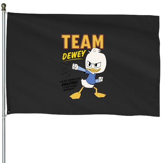 Disney DuckTales Team Dewey I'm Not Trying To Be Amazing House Flags