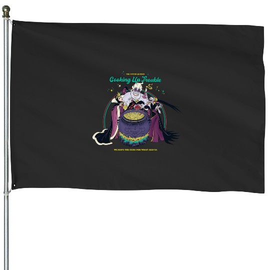 Disney Villains The Potion Queens Cooking Up Trouble Poster House Flags