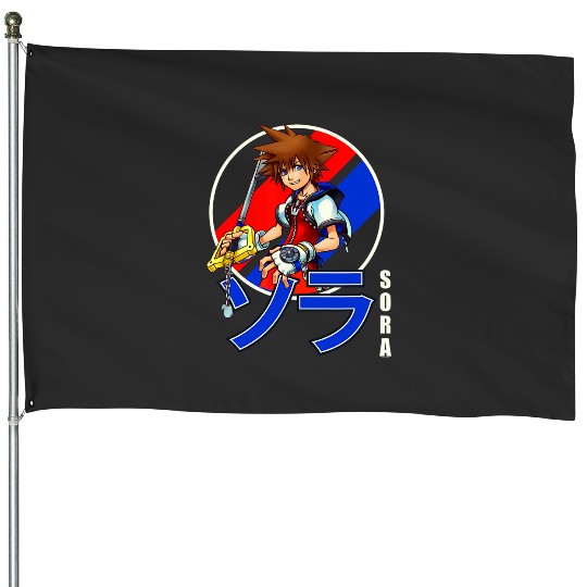 Disney Kingdom Hearts Sora Classic Color Anime Circle Shot House Flags