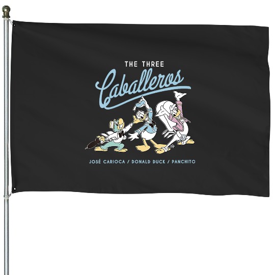 Womens Disney The Three Caballeros Retro Donald Duck V-Neck House Flags