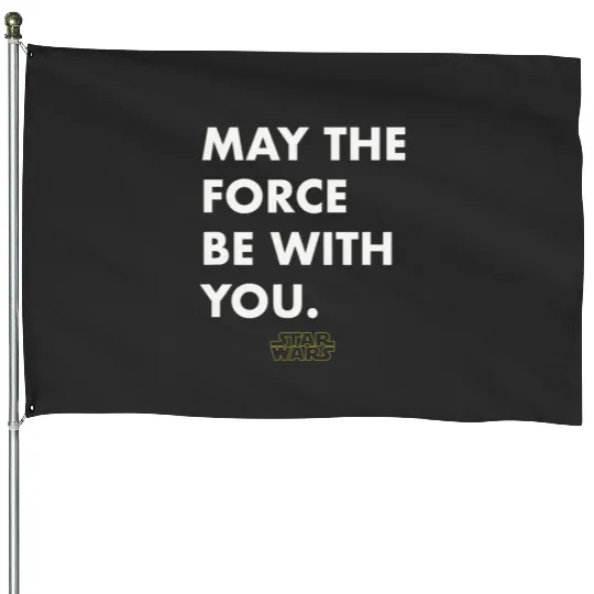 Amazon Essentials Disney  Marvel  Star Wars  Princess Men39;s Short Sleeve House Flags