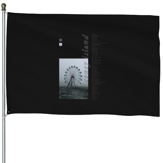 Discover Taylor “coney island” House Flags