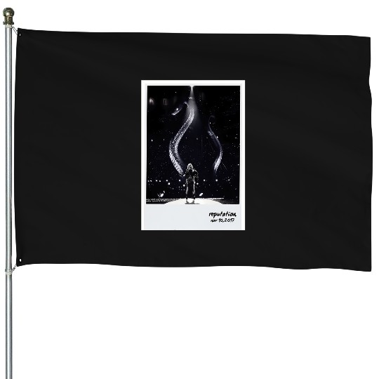 Discover Reputation Taylor 2476 House Flags