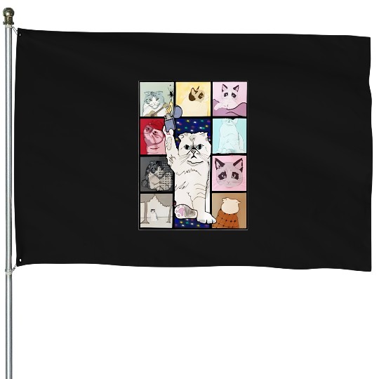Discover The Eras Tour Cat Version T-Shirt House Flags