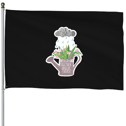 Discover Clean Taylor 4189 House Flags