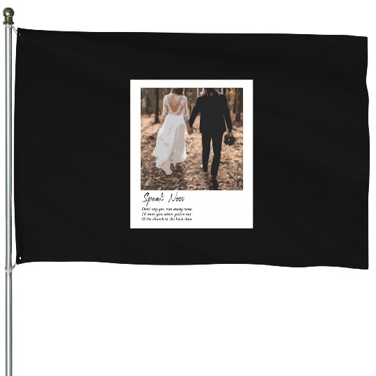 Discover Speak Now - Taylor 2913 House Flags
