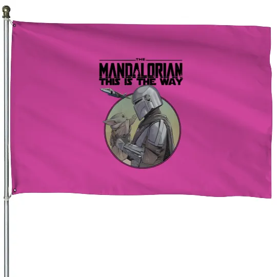 Retro Star Wars House Flags, Disney Star Wars House Flags