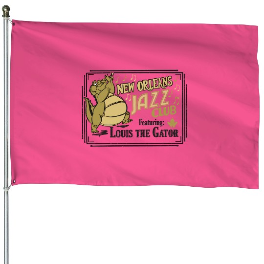 Disney The Princess And The Frog House Flags