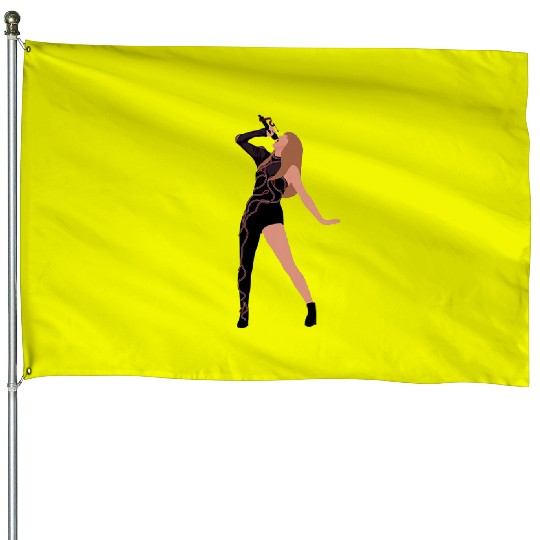 Eras Tour Reputation House Flags
