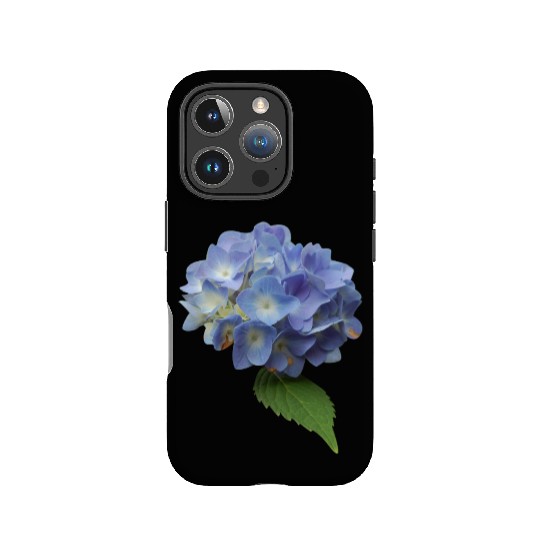 flowers lilies tulips orchids sunflower dahlia ger IPhone Cases