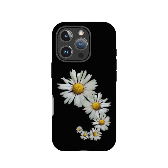 wonderful daisy flowers, blooming daisies, blooms IPhone Cases