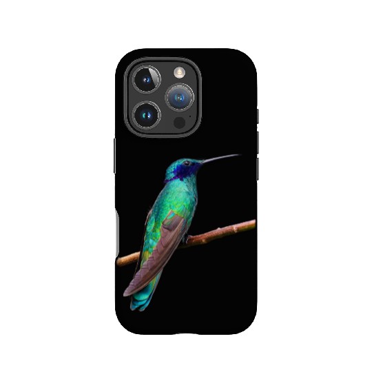 Hummingbird IPhone Cases