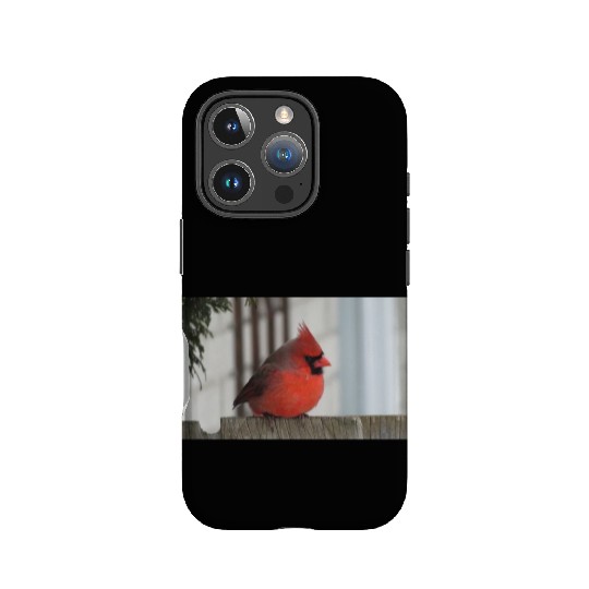 Brilliant Cardinal Bird 2 IPhone Cases