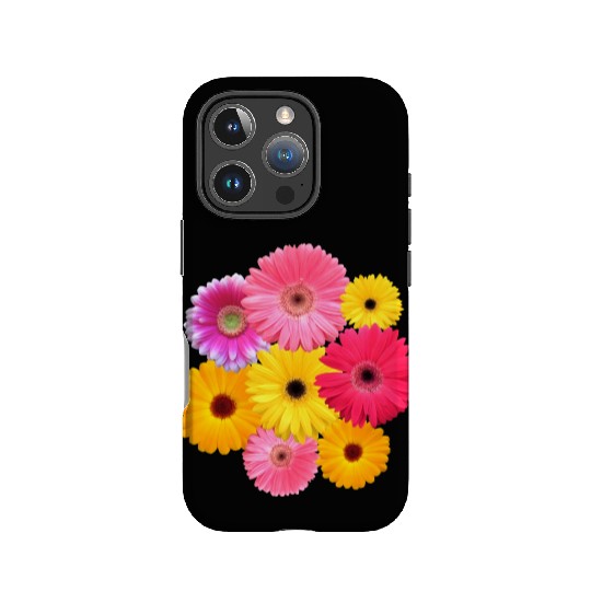 gerbera flower, daisies, gerberas, daisy blooms IPhone Cases