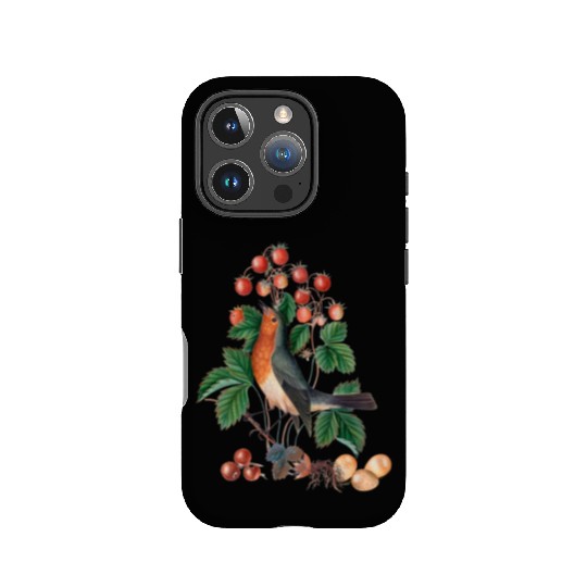 European robin IPhone Cases