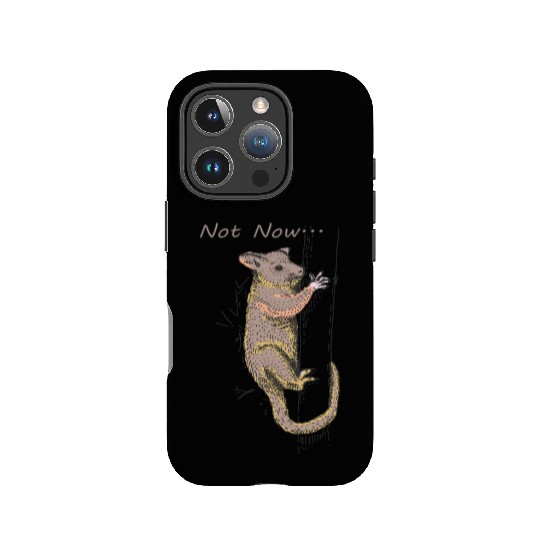 Funny Opossum, Opossum Not Now IPhone Cases