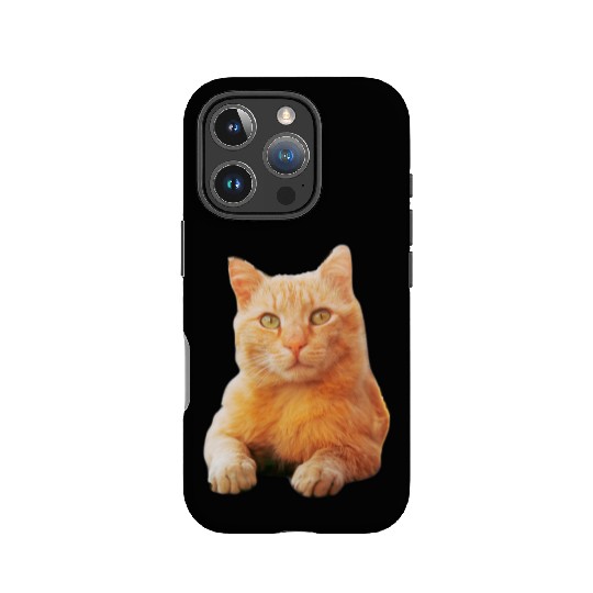 Orange Cat IPhone Cases