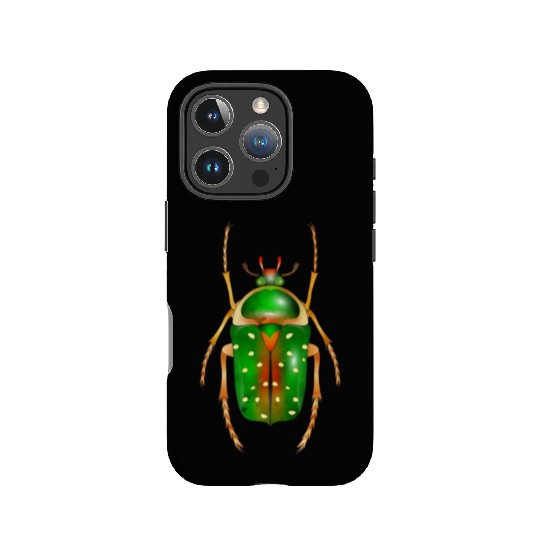 Stephanorrhina guttata-beautiful insect IPhone Cases