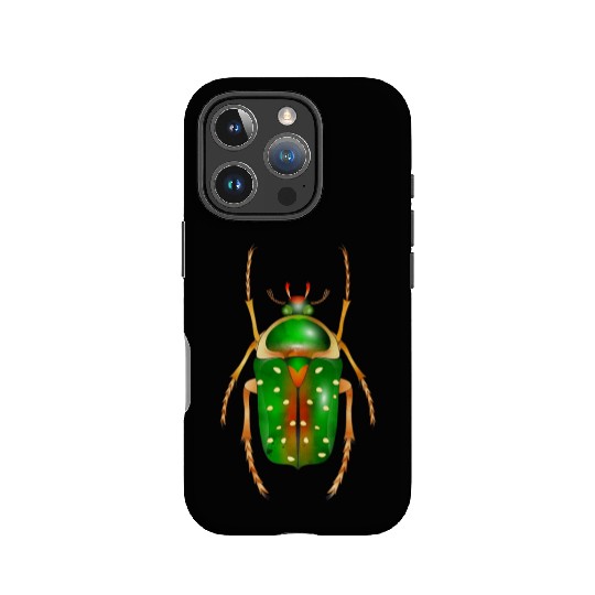 Stephanorrhina guttata-beautiful insect IPhone Cases