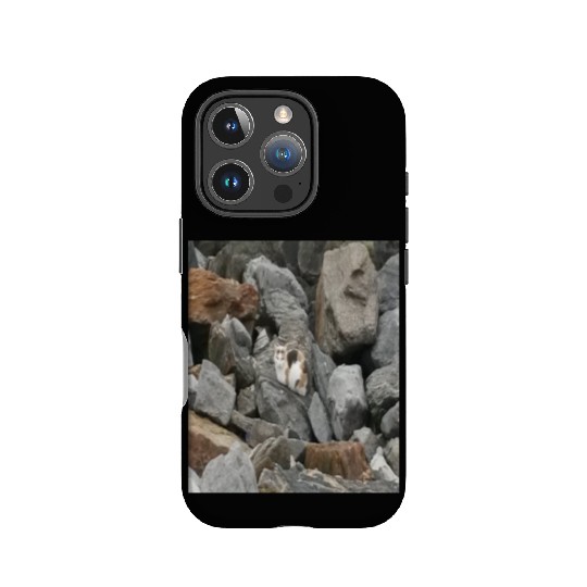 Camouflage Cat On Rocks Gifts for Animal Lovers IPhone Cases