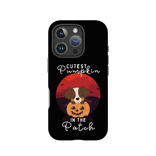 Australian Shepherd cutest pumpkin in the patch IPhone Cases