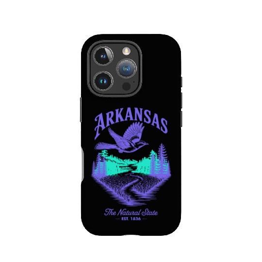 Arkansas Natural State Icons IPhone Cases
