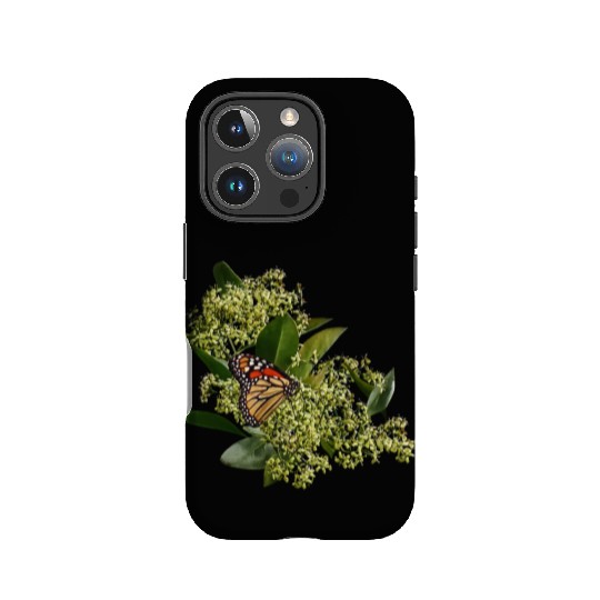 Monarch Butterfly on Euonymus IPhone Cases