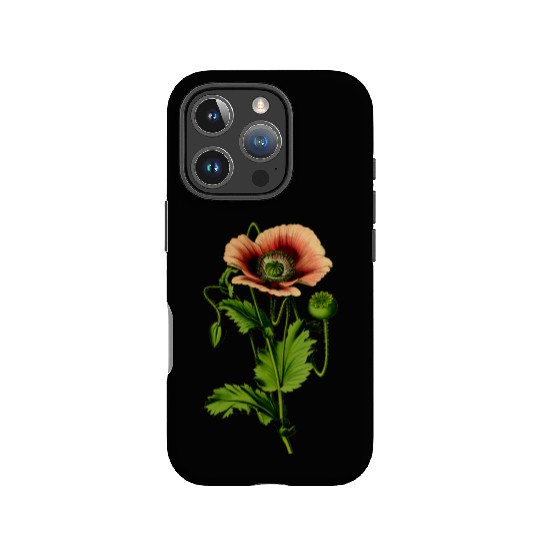 Opium poppy 4 IPhone Cases