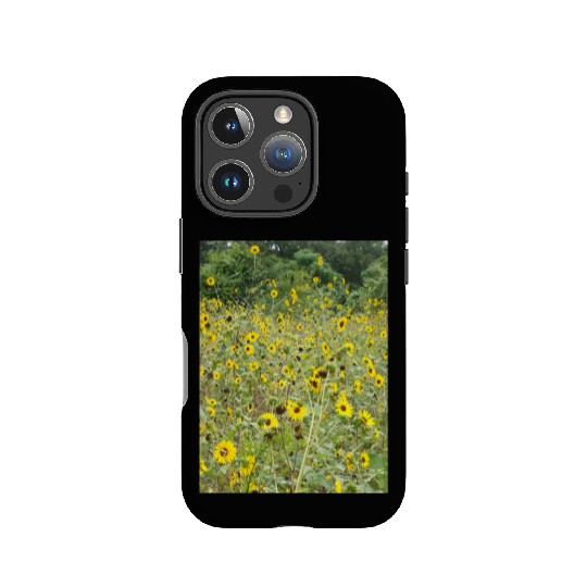 My Photography - Swamp Sunflowers in Texas IPhone Cases