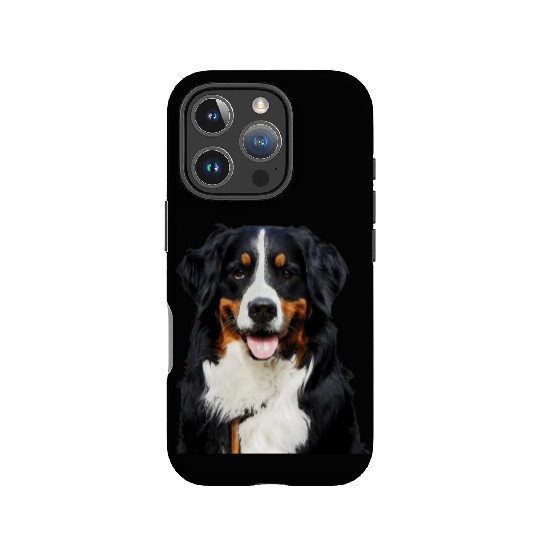 Portrait Of Bernese Mountain Dog IPhone Cases