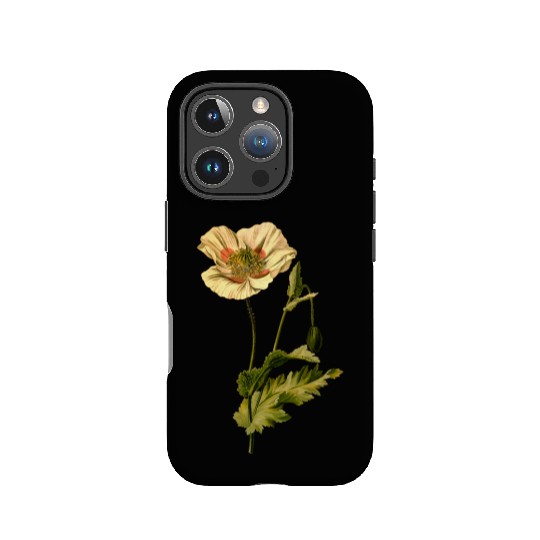 Opium poppy (detailed) IPhone Cases