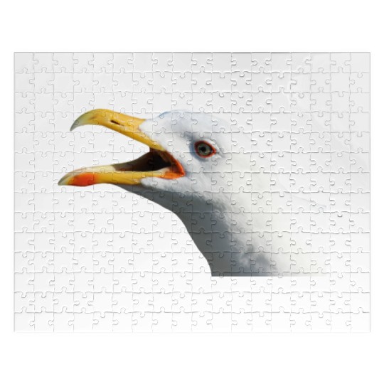 seagull gull moewe1 Jigsaw Puzzles