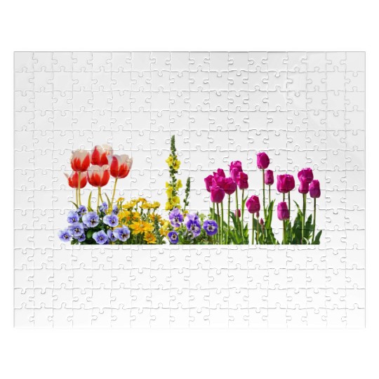 pansy stiefmuetterchen blumen flowers tulpen tulip Jigsaw Puzzles