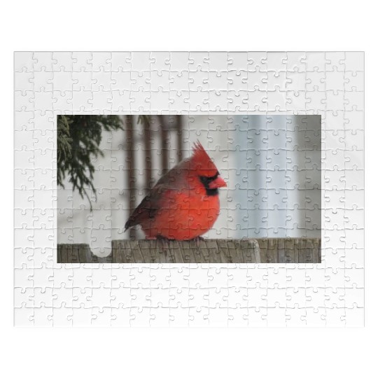Brilliant Cardinal Bird 2 Jigsaw Puzzles