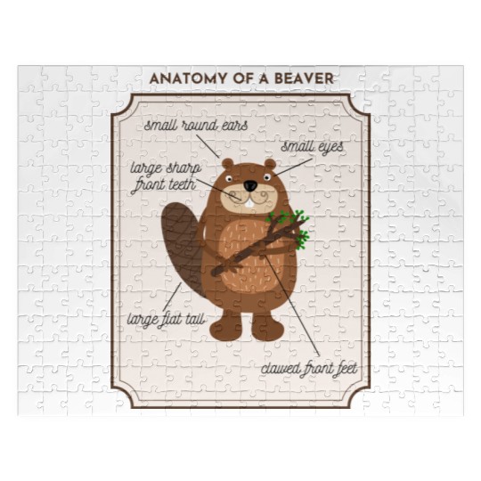 Anatomy of a Beaver Jigsaw Puzzles