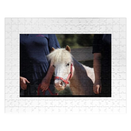 Screenshot 20220619 180220 Facebook Jigsaw Puzzles