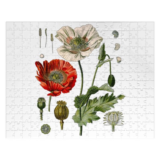 Red Poppy flower Botanical Poppies Red Poppy Jigsaw Puzzles