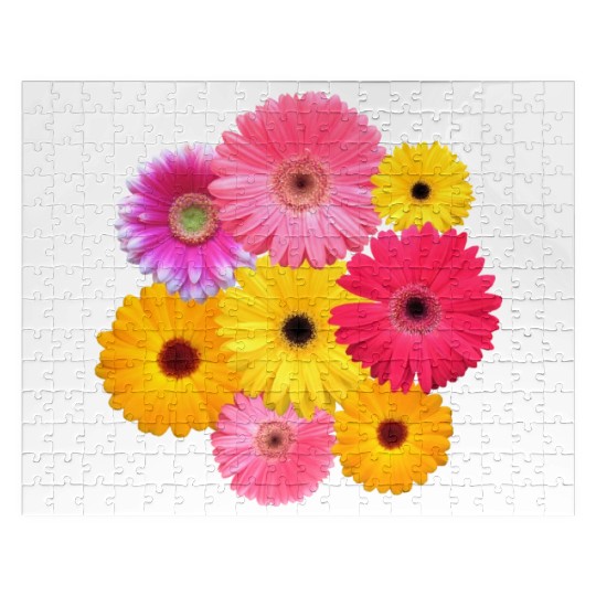 gerbera flower, daisies, gerberas, daisy blooms Jigsaw Puzzles